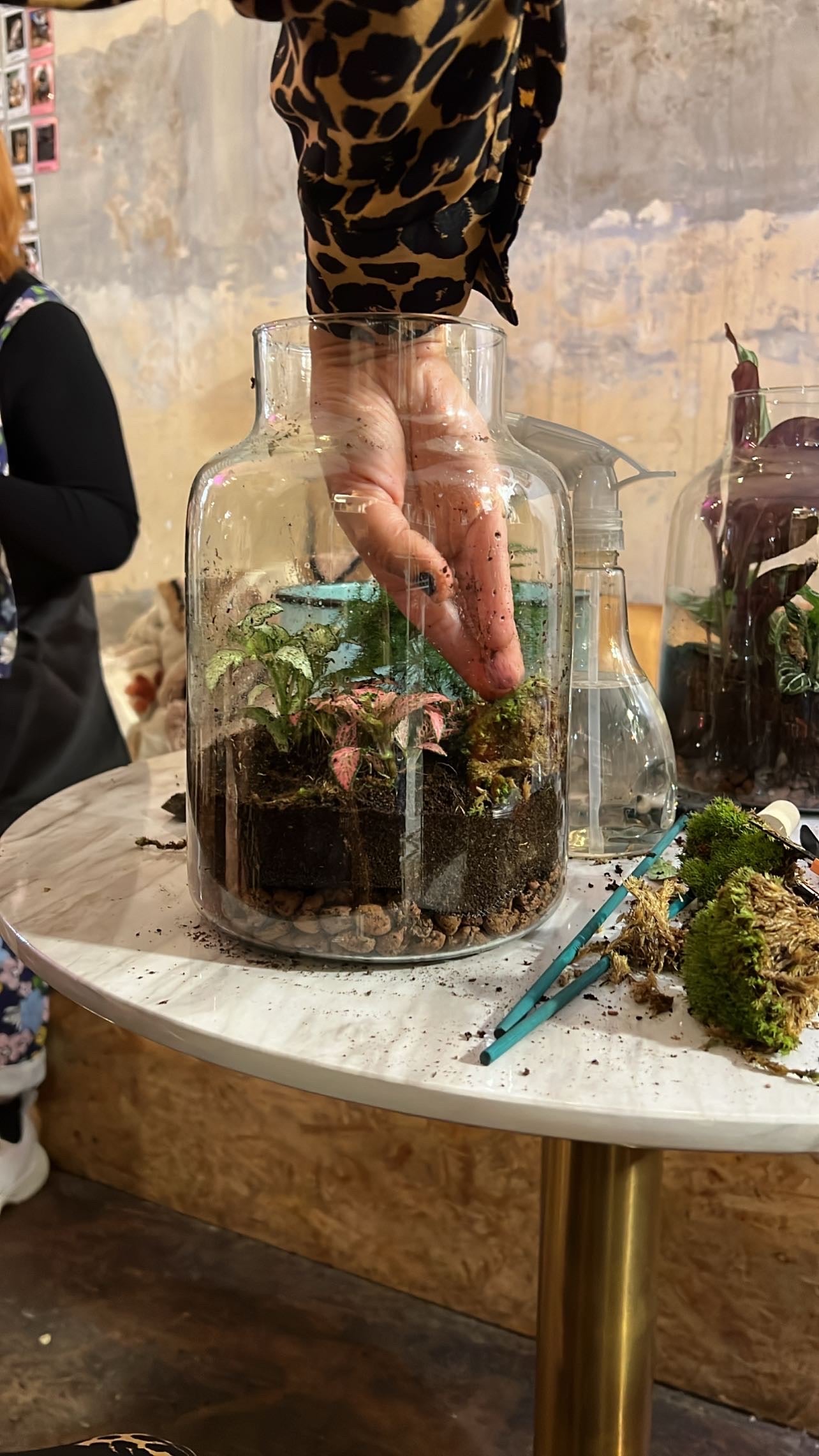 Terrarium Making Workshop