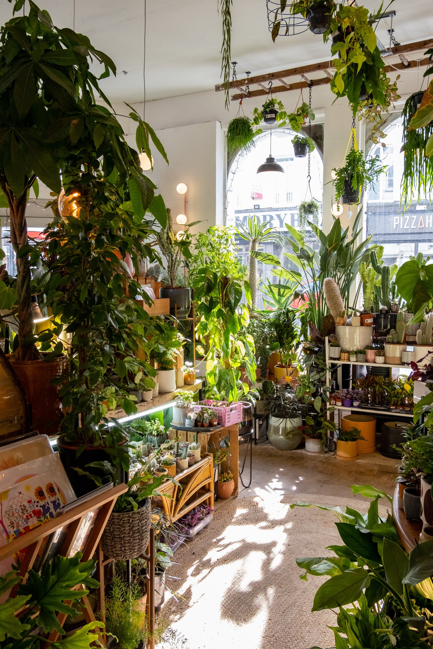 Terrarium Making Workshop