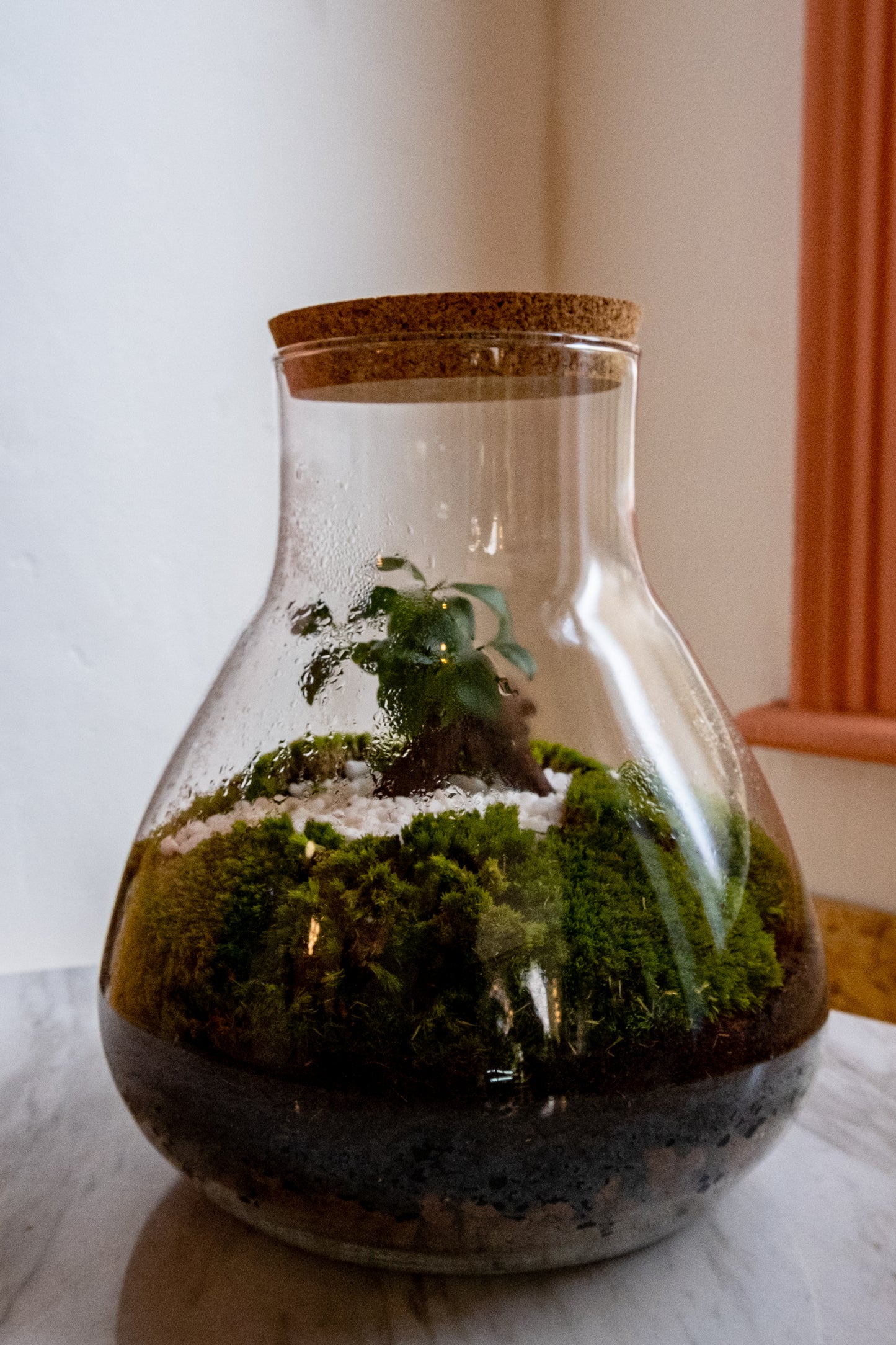 Terrarium Making Workshop