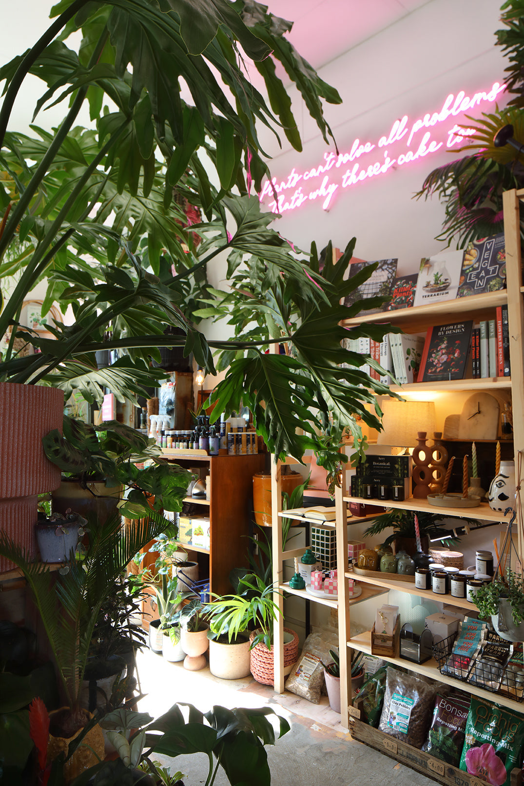 Terrarium Making Workshop