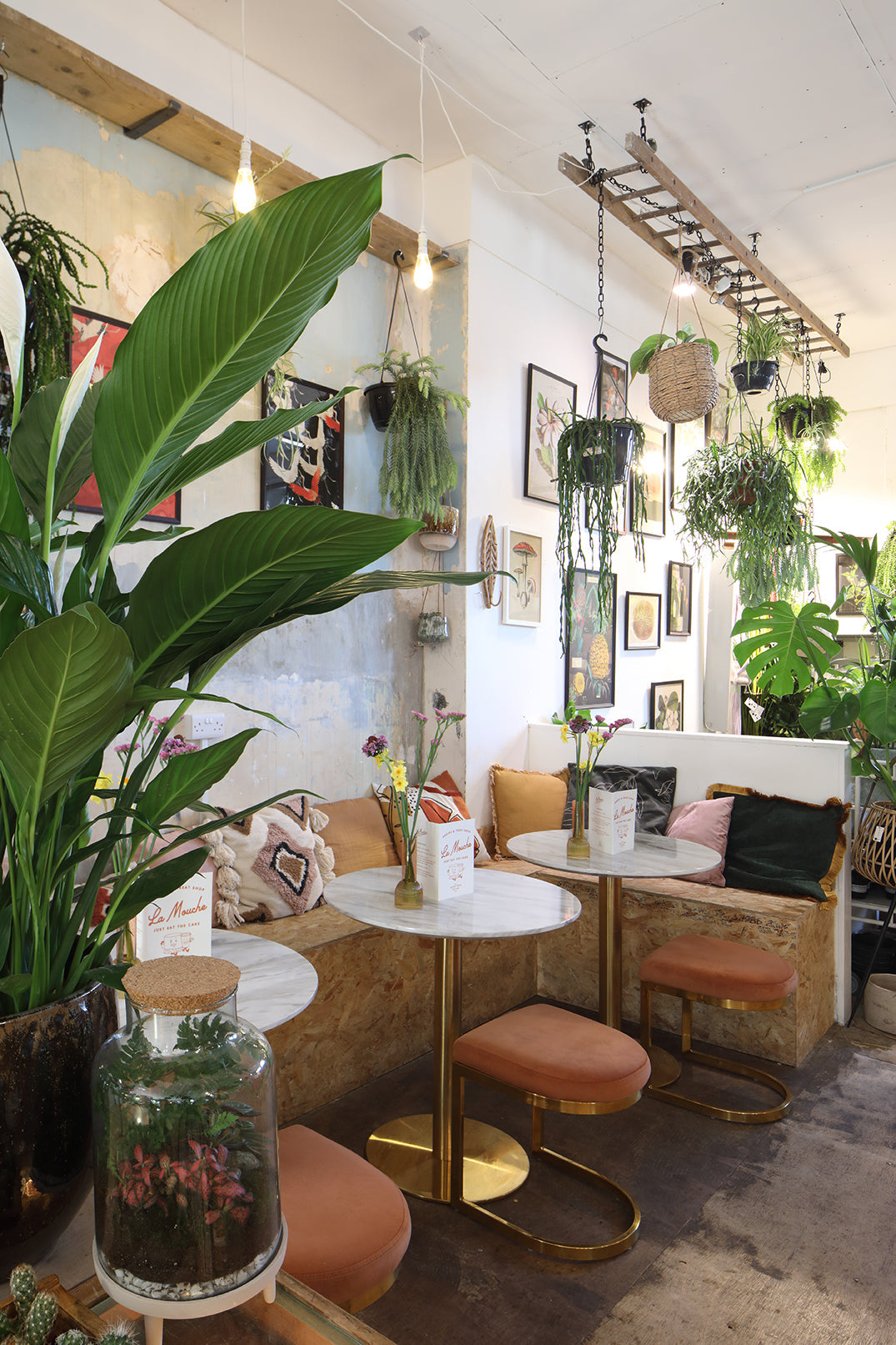 Terrarium Making Workshop