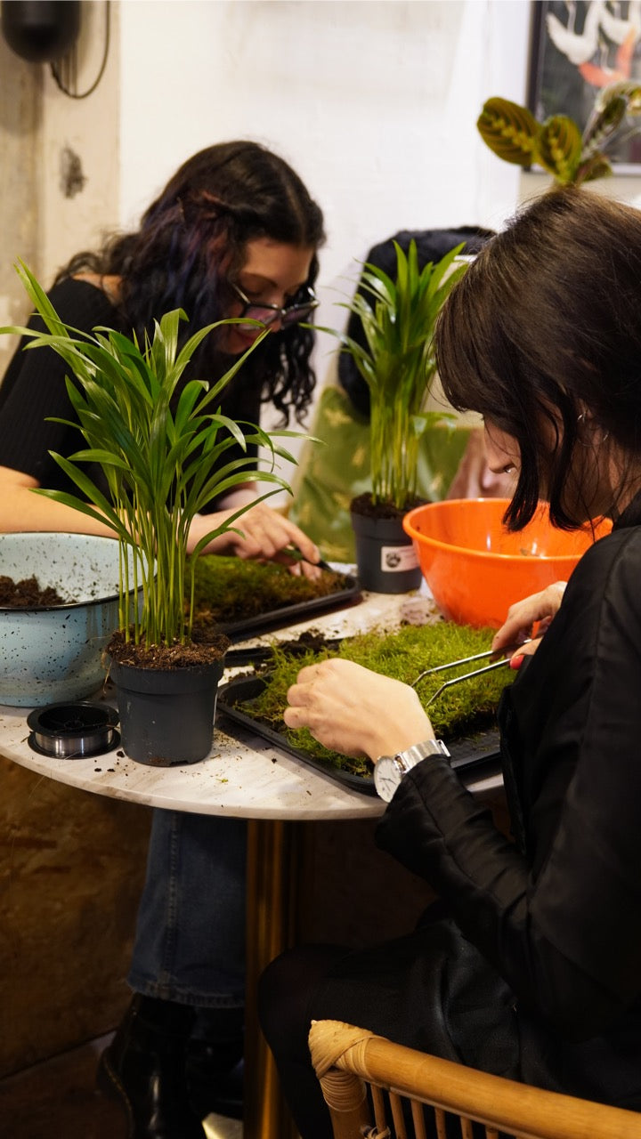 Kokedama Workshop