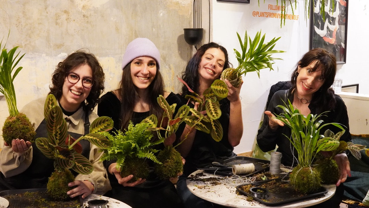Kokedama Workshop