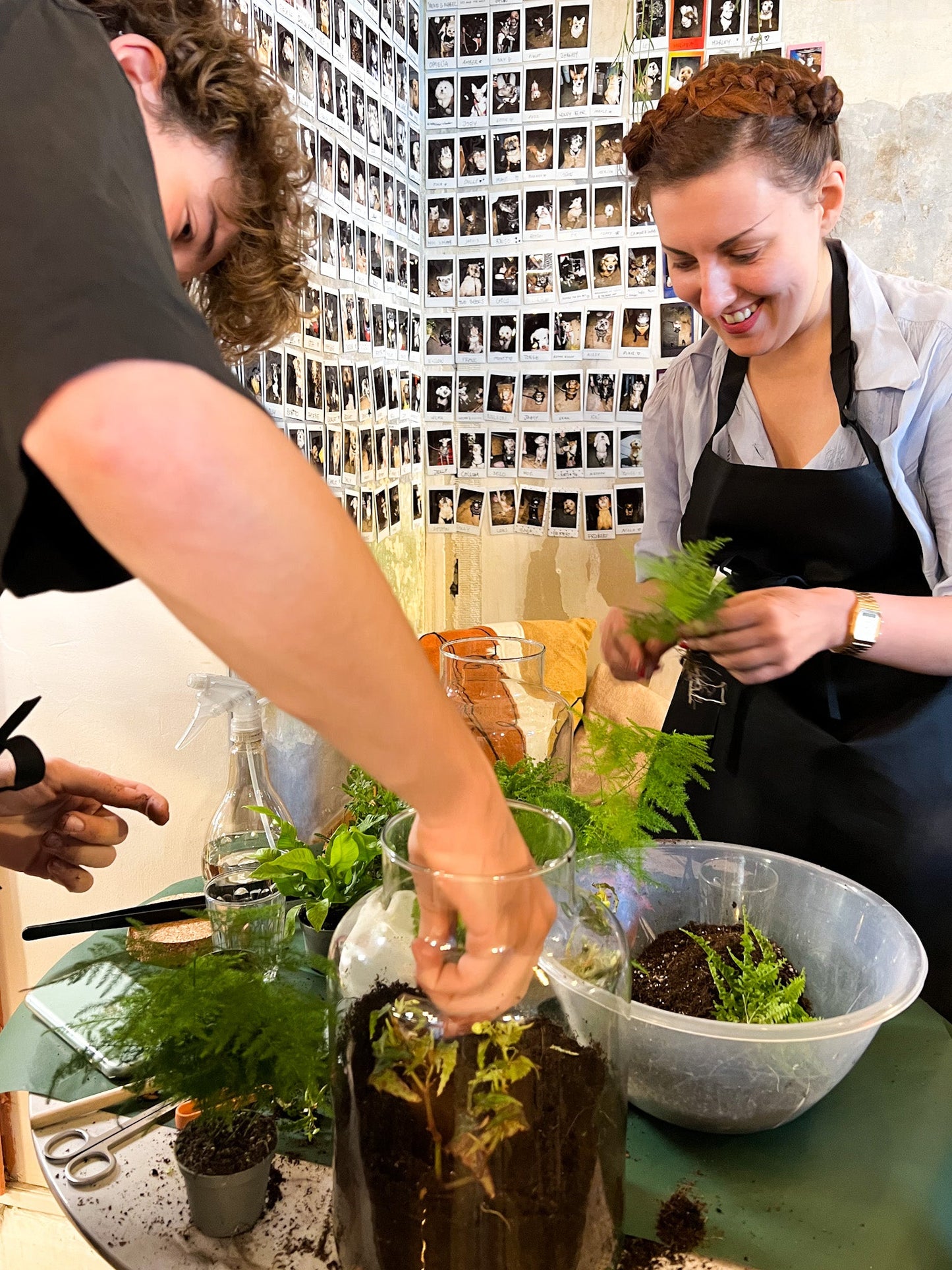 Terrarium Making Workshop