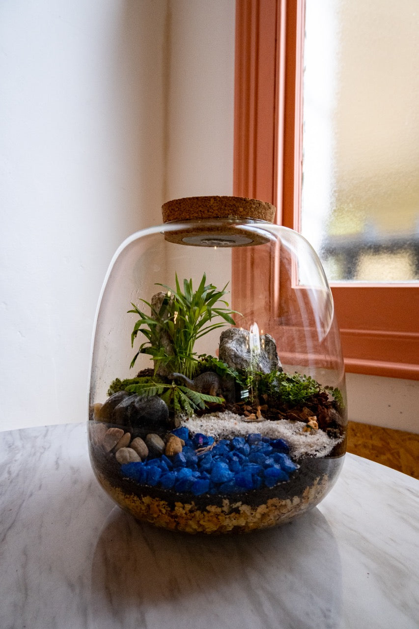 Terrarium Making Workshop