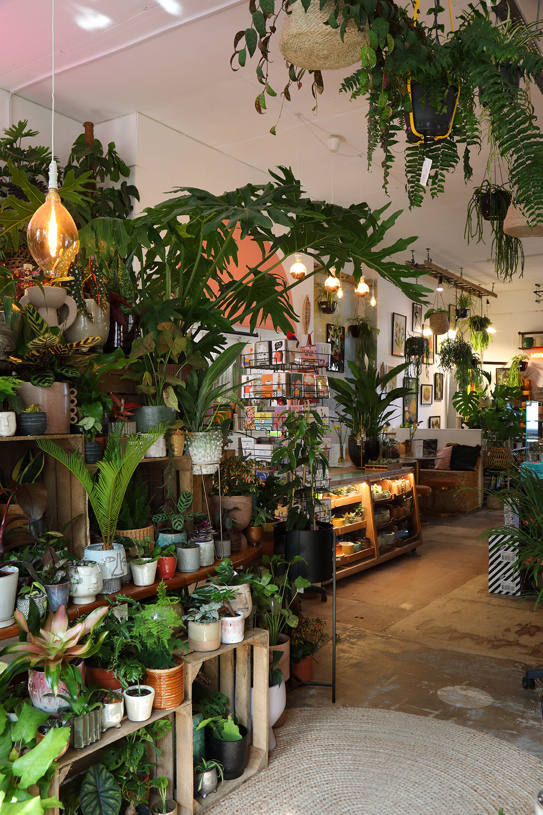 Kokedama Workshop