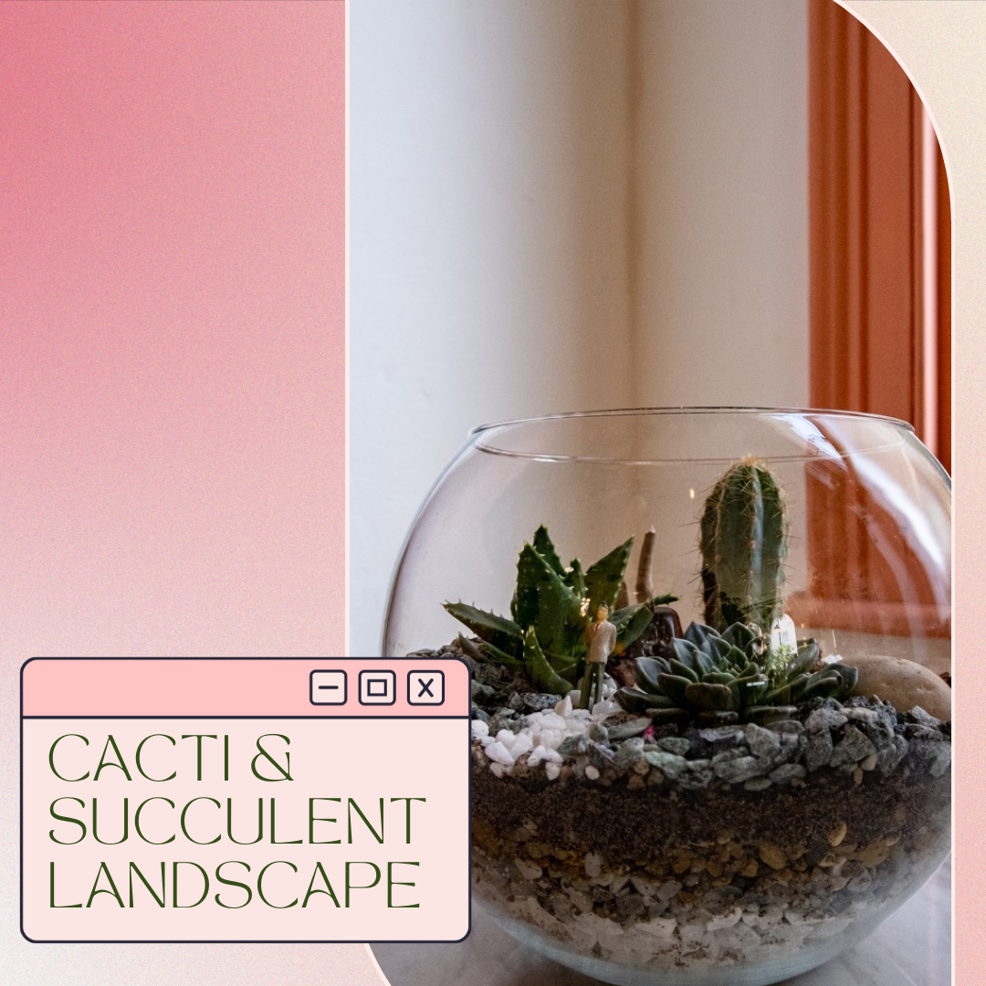 succulent terrarium table｜TikTok Search