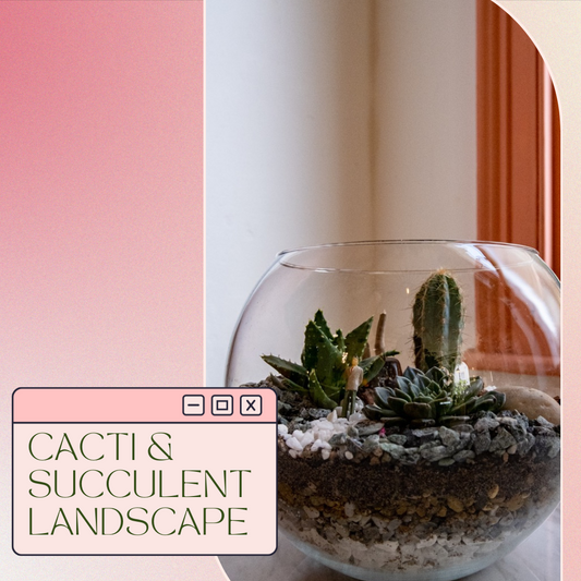 Cactus & Succulent Landscape