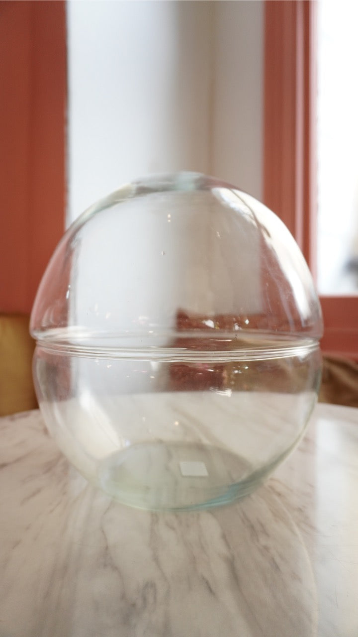 Terrarium Making Workshop