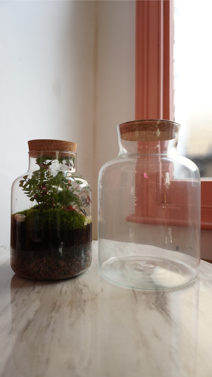 Terrarium Making Workshop