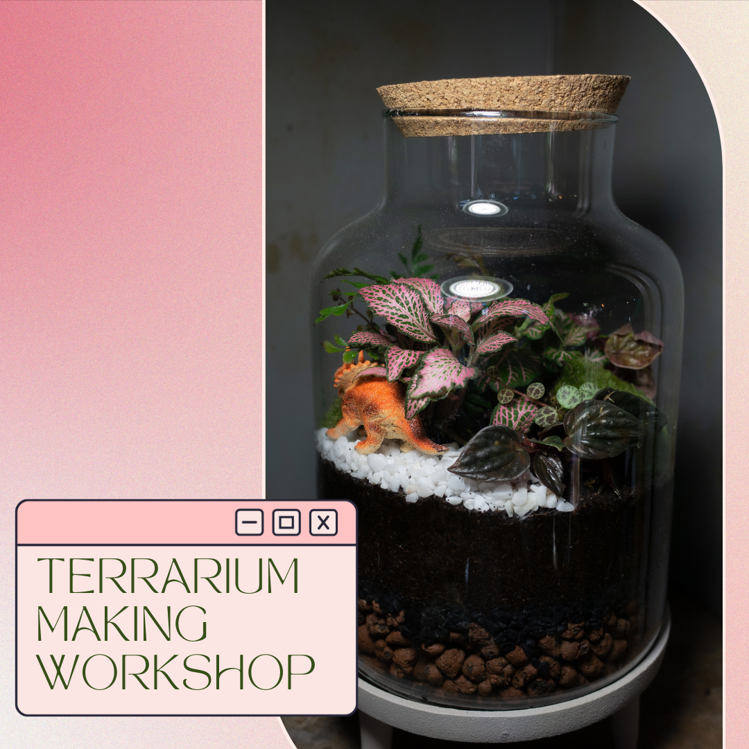 Terrarium Making Workshop
