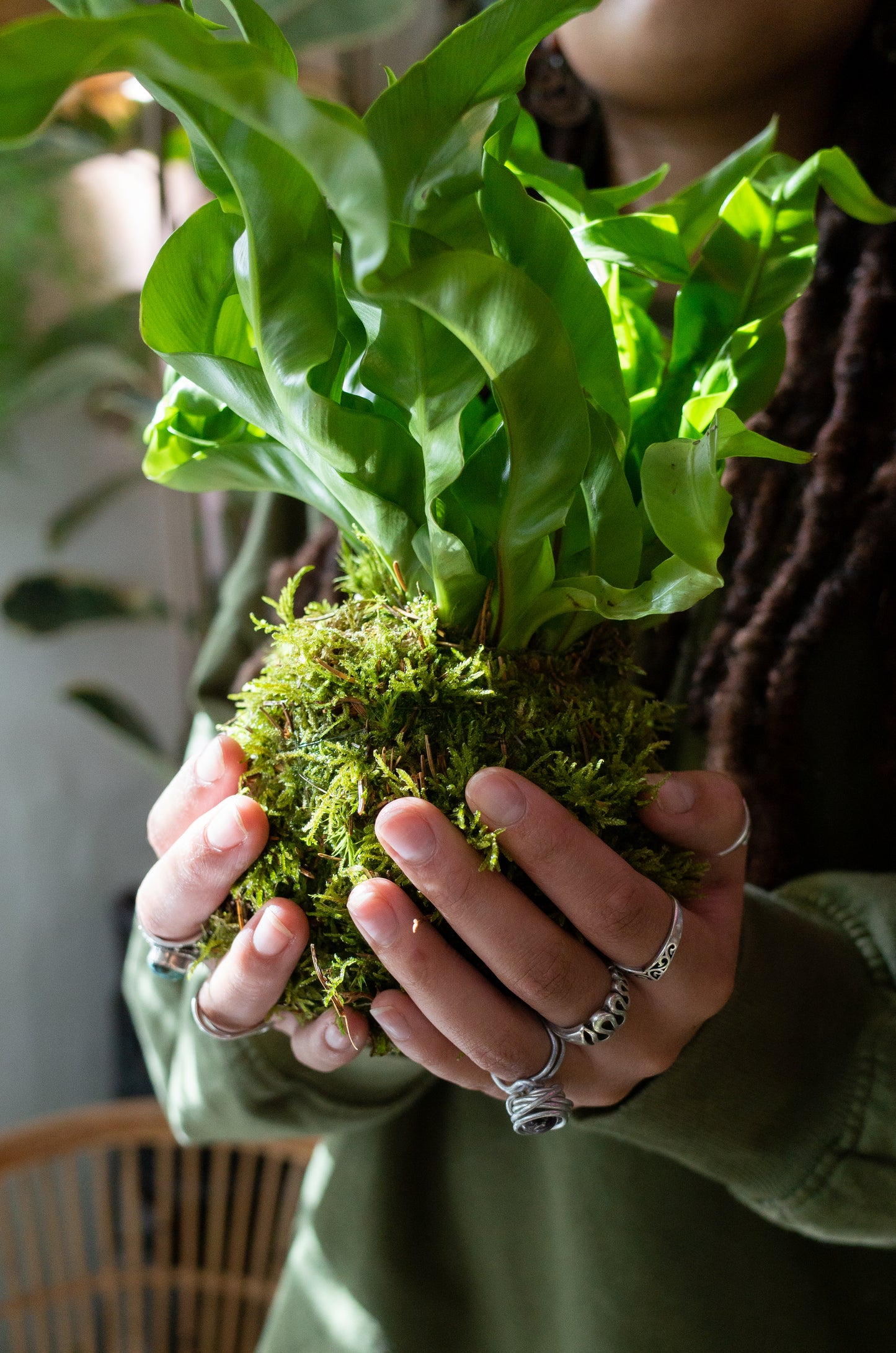 Kokedama Workshop