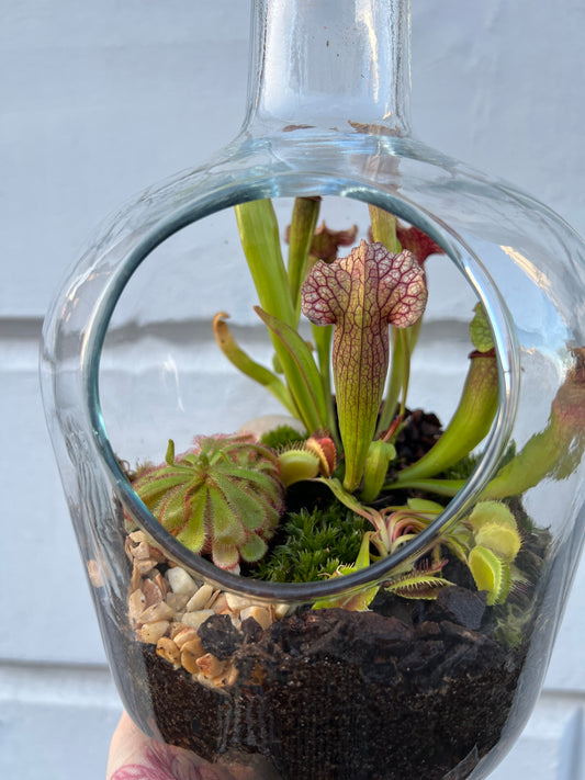 Carnivorous Terrarium Workshop