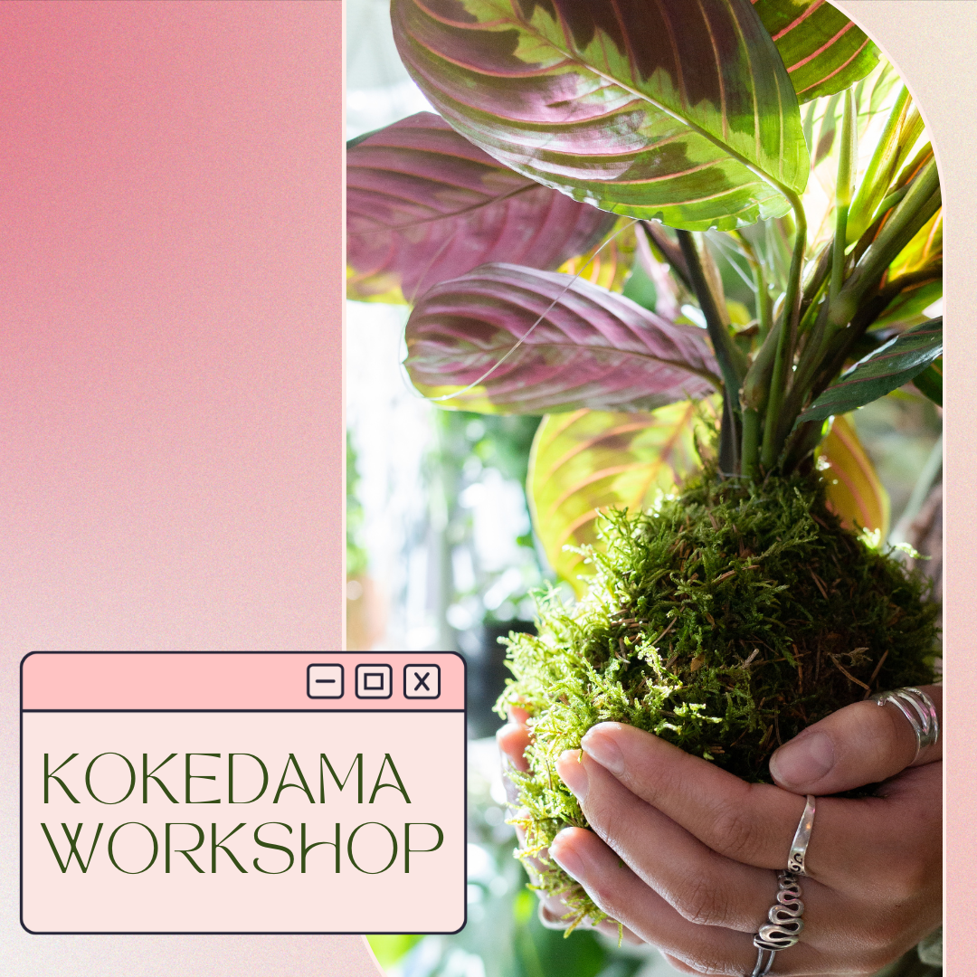 Kokedama Workshop